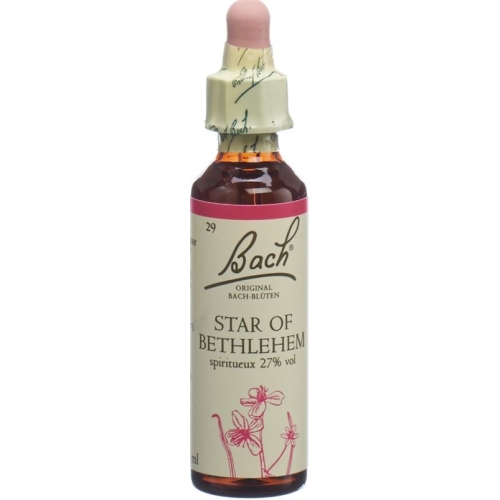 Bachblüten Star Of Bethlehem Nr. 29 Flüssig 20ml buy online