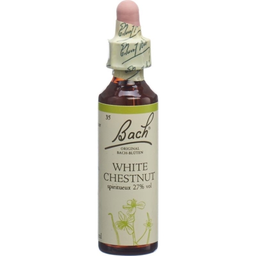 Bachblüten White Chestnut Nr. 35 Flüssig 20ml buy online