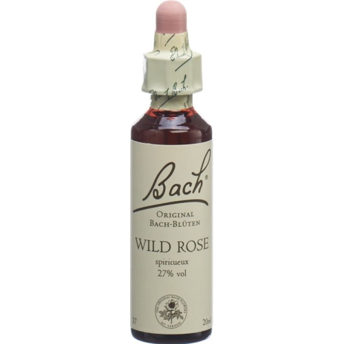 Bachblüten Wild Rose Nr. 37 Flüssig 20ml buy online