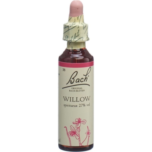 Bachblüten Willow Nr. 38 Flüssig 20ml buy online