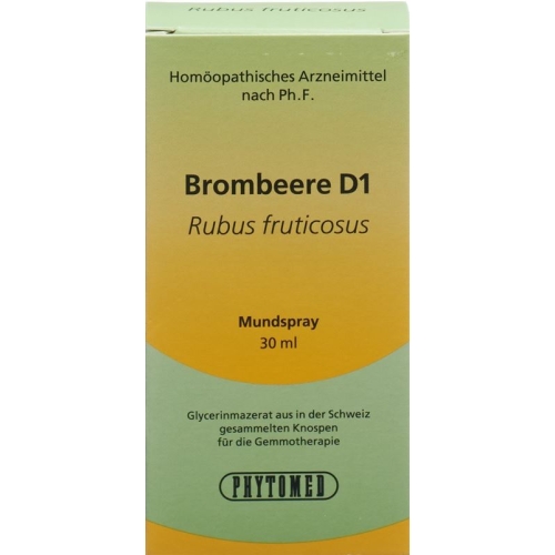 Phytomed Gemmo Brombeere Liquid D 1 30ml buy online