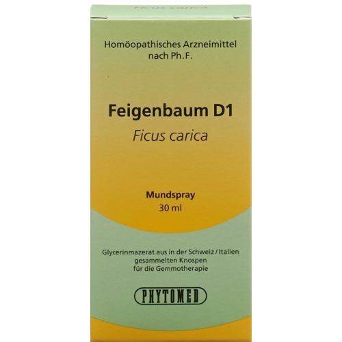 Phytomed Gemmo Feigenbaum Liquid D 1 30ml buy online