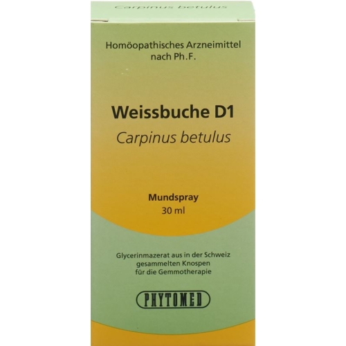 Phytomed Gemmo Weissbuche Liquid D 1 30ml buy online