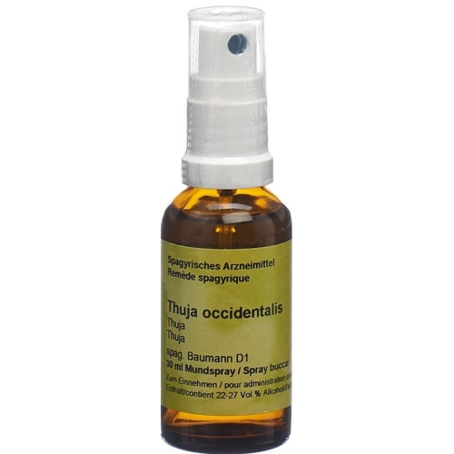 Spagyros Spagyr Thuja Occidentalis Spray 30ml buy online