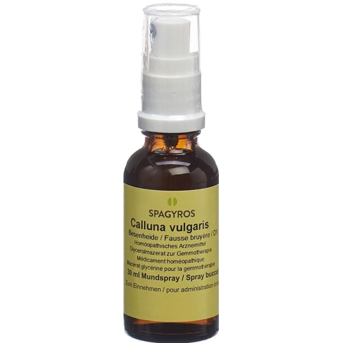 Spagyros Gemmo Calluna Vulgaris Glyc Maz D 1 30ml buy online