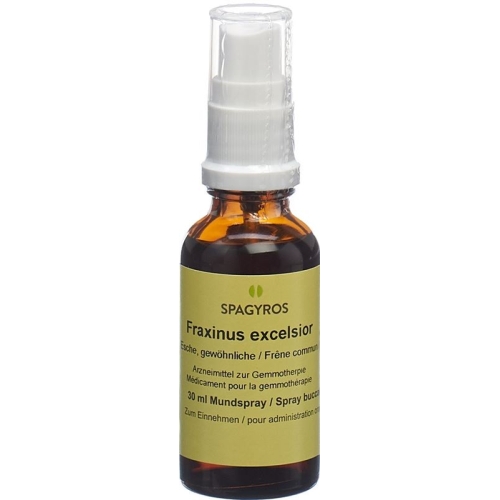 Spagyros Gemmo Fraxinus Excel Glyc Maz D 1 30ml buy online