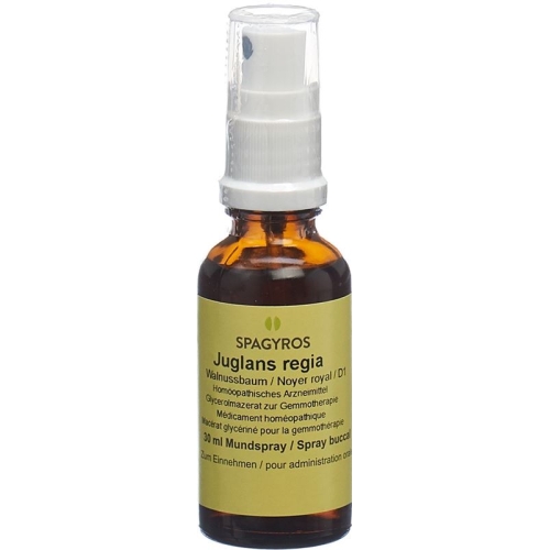 Spagyros Gemmo Juglans Regia Glyc Maz D 1 30ml buy online