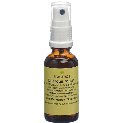 Spagyros Gemmo Quercus Robur Glyc Maz D 1 30ml buy online