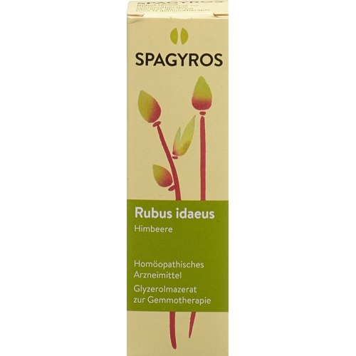 Spagyros Gemmo Rubus Ideaeus Glyc Maz D 1 30ml buy online