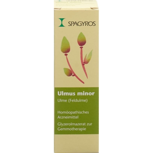 Spagyros Gemmo Ulmus Minor Glyc Maz D 1 30ml buy online