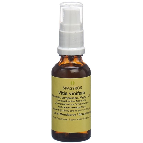 Spagyros Gemmo Vitis Vinifera Glyc Maz D 1 30ml buy online