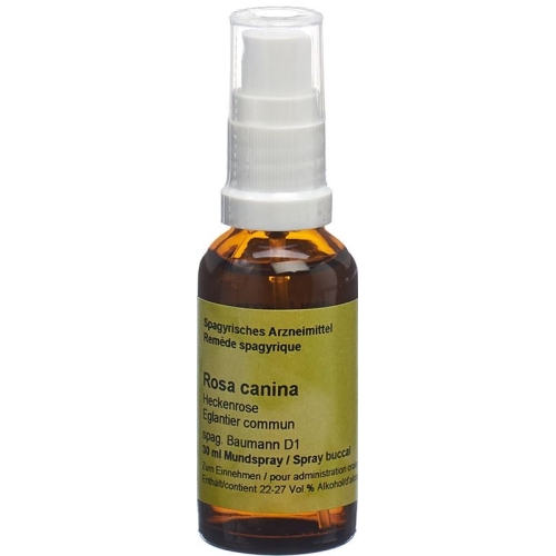 Spagyros Spagyr Rosa Canina Spray 30ml buy online