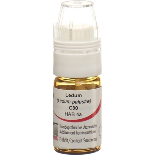 Omida Ledum Globuli C 30 M Dosierhilfe 4g buy online