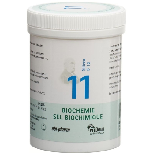 Pflueger Schüssler Nr. 11 Silicea Tabletten D 12 250g buy online