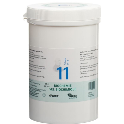 Pflueger Schüssler Nr. 11 Silicea Tabletten D 12 1000g buy online