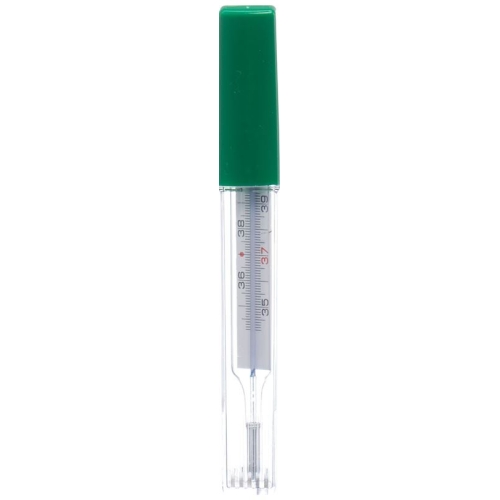 Gribi mercury-free clinical thermometer with case buy online