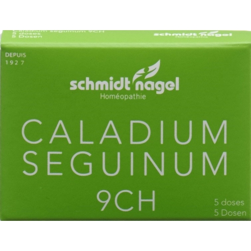 Sn Caladium Seguinum Globuli Ch 9 5x 1g buy online