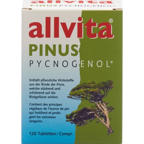 Allvita Pinus Pycnogenol tbl 120 pcs buy online