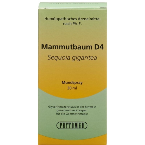 Phytomed Gemmo Mammutbaum Liquid D 4 30ml buy online