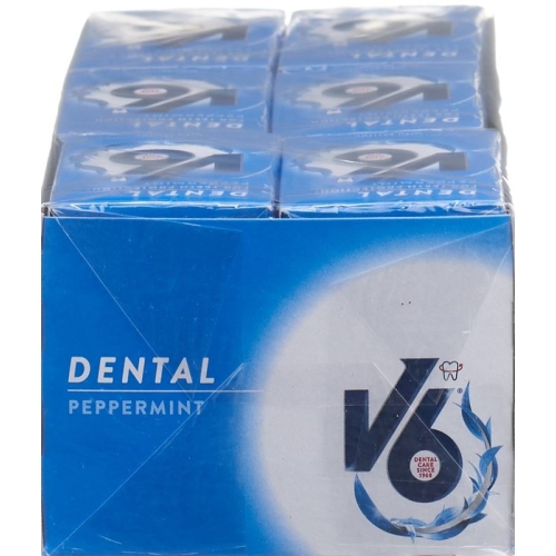 V6 Peppermint Kaugummi 1 Stück buy online