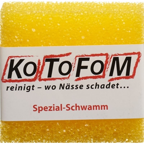 Kotofom Schwamm Gr II buy online