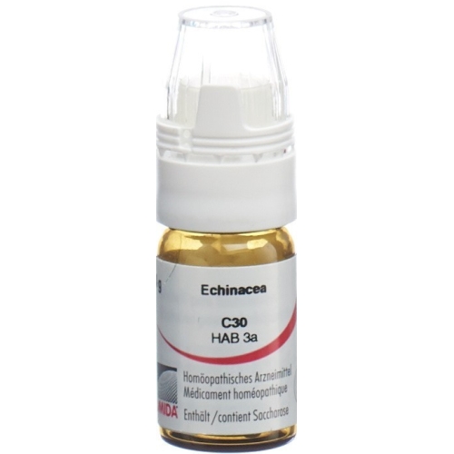 Omida Echinacea Globuli C 30 M Dosierhilfe 4g buy online