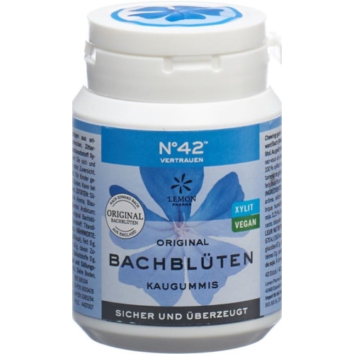 Dr. Bach Kaugummi für Selbstvertrauen Dose 60g buy online