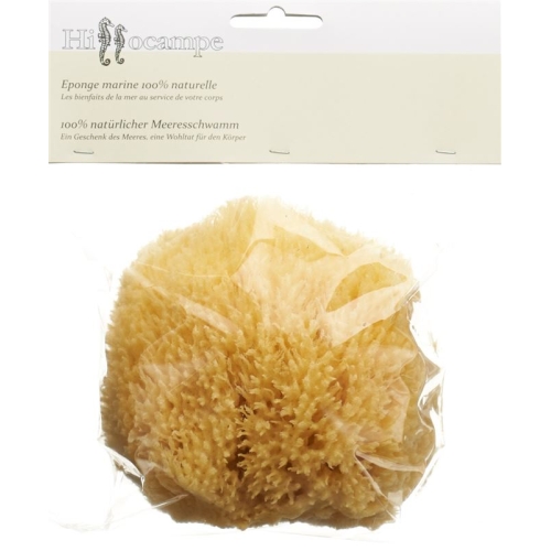 Hippocampal Natural Sponge 338 buy online