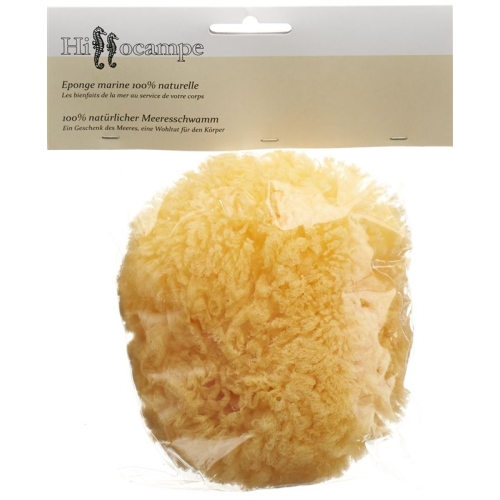 Hippocampal Natural Sponge 336 buy online