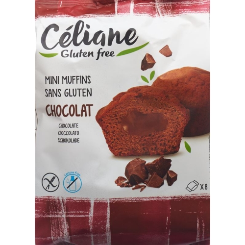 Alternis Moelleux Fondant Chocolat 210g buy online