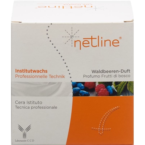 Netline Enthaarungswachs Waldbeeren Topf 250ml buy online