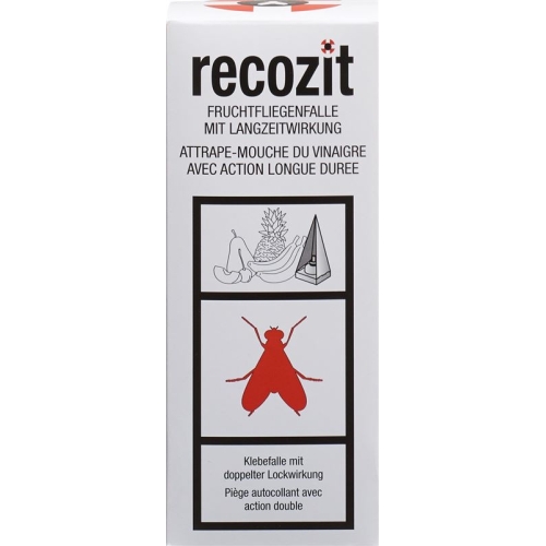 Recozit fruit fly trap buy online