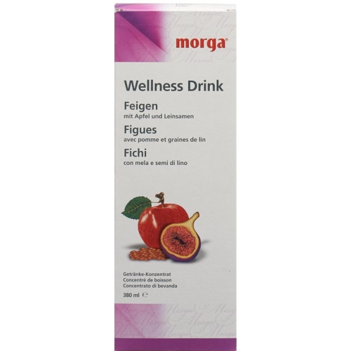 Morga Wellness Drink Feigen 380ml buy online