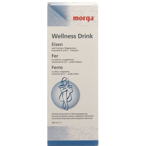 Morga Wellness Drink Eisen 380ml buy online