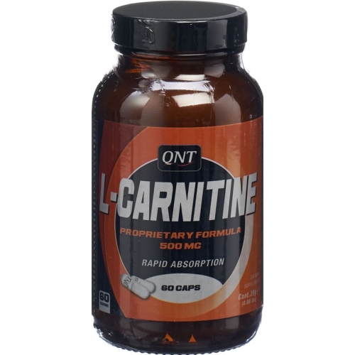 Qnt L-carnitine Kapseln 500mg 60 Stück buy online