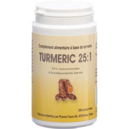 Turmeric 25:1 Tabletten 250mg 300 Stück buy online