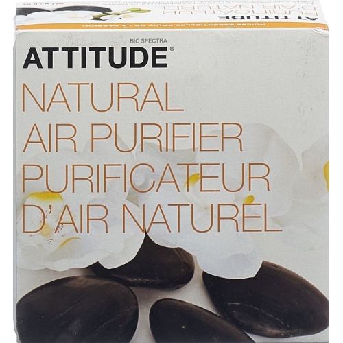 Attitude Little Ones Lufterfrischer Passions 227g buy online