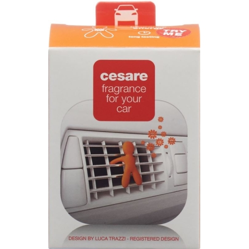 Joy Duftmaennchen Auto Cesare Orange Energy buy online