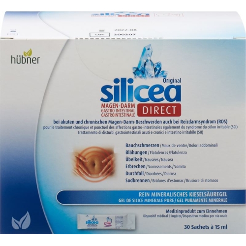 Hübner Silicea Magen-Darm Direct Gel 30 Sticks à 15ml buy online