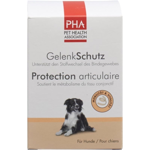 PHA Gelenkschutz für Hunde Pulver Dose 150g buy online