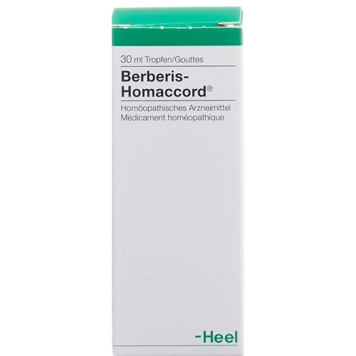 Homaccord Berberis Tropfen 30ml buy online