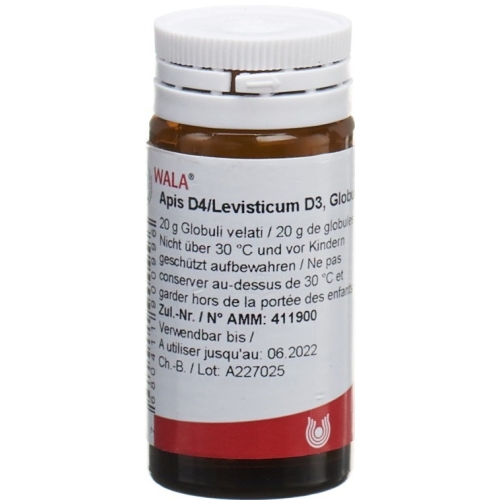 Wala Apis D4 / D3 Levisticum Glob 20 g buy online