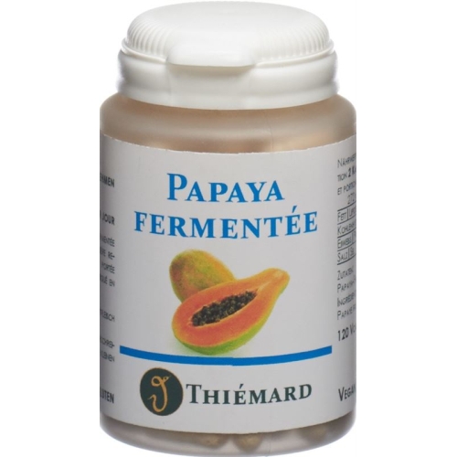 Papaya Fermentiert 250 Kapseln 250mg 120 Stück buy online