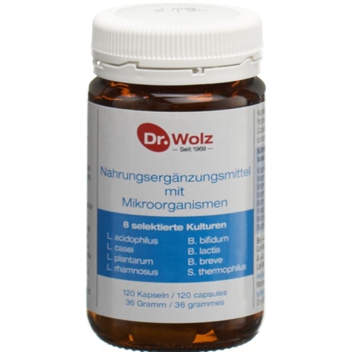 Dr. Wolz microorganisms Kaps 120 pcs buy online