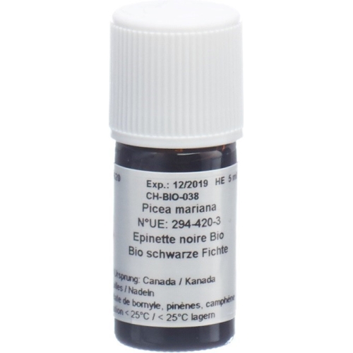 Aromasan Black spruce needles Äth / Oil Bio 5ml buy online