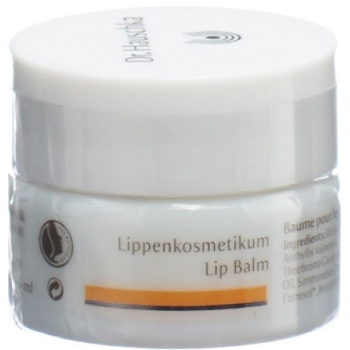 Dr Hauschka lip cosmetic 4.5 ml buy online