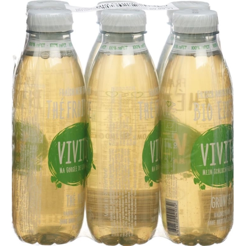 VIVITZ Bio iced tea green tea 6 x 0.5 lt buy online