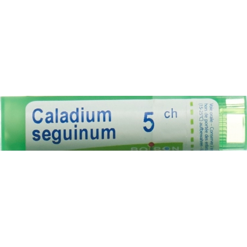 Boiron Caladium seguinum Gran C 5 4 g buy online