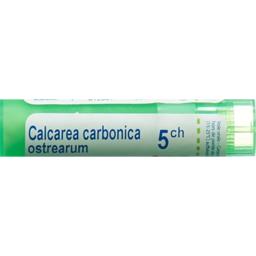 Boiron Calcarea ostrearum Gran C 5 4 g buy online