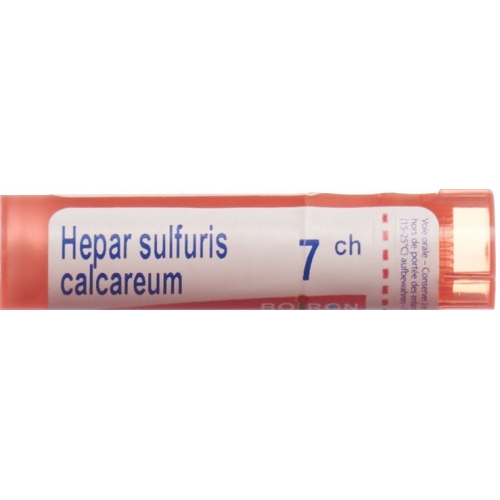 Boiron Hepar calcareum Gran C 7 4 g buy online